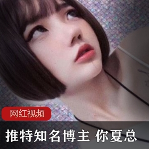 与夏总同行，探索知名博主的作品合集