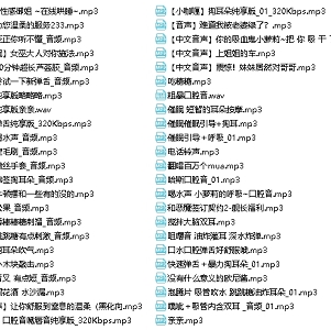 舰长包：B站A失眠R绅士助眠舔耳口腔音1.21g